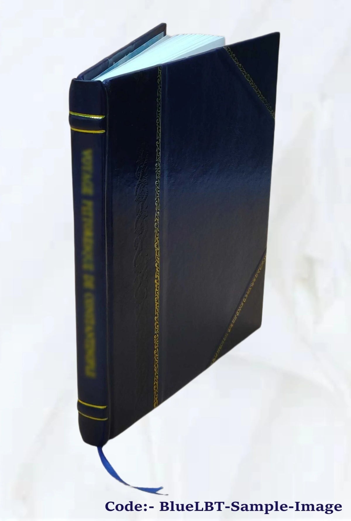 Pentecost rejected : and the effect on the churches 1902 [Leather Bound] J782