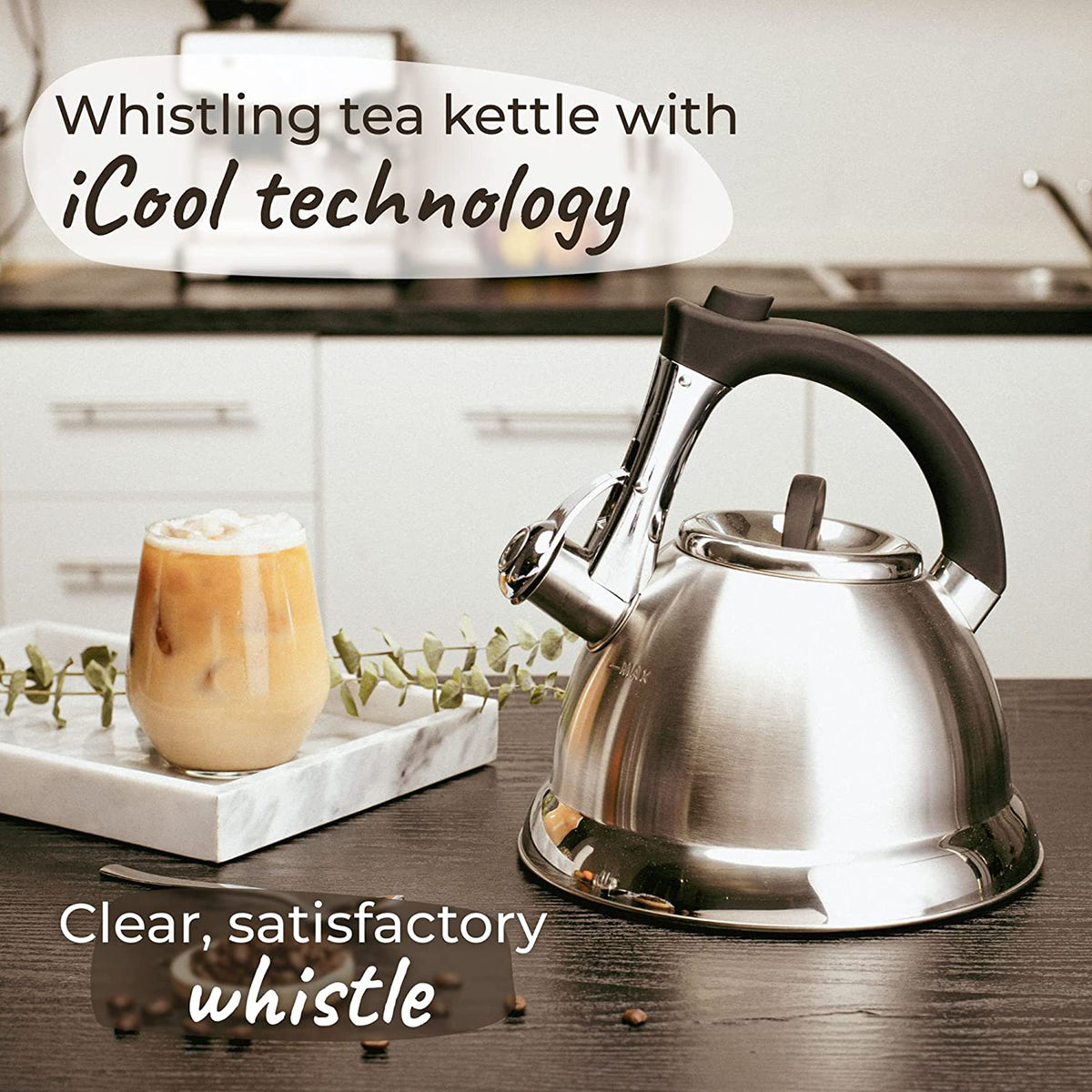 Silver Stainless Steel Whistling Tea Kettle with Handle and 2 Infusers V225672