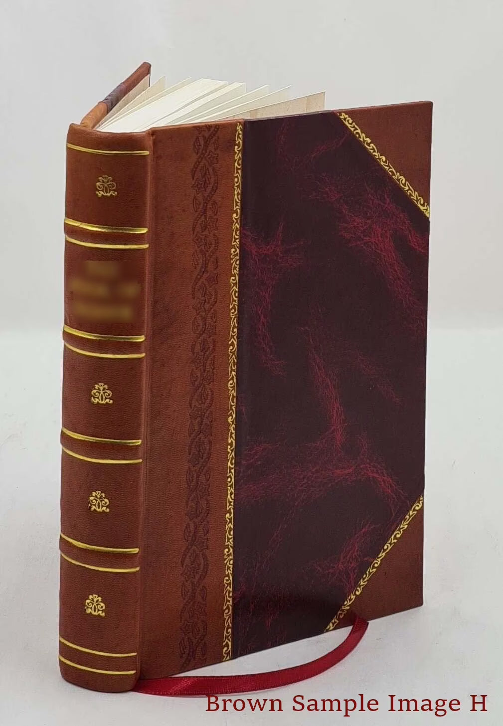 Leather Bound Book T1596
