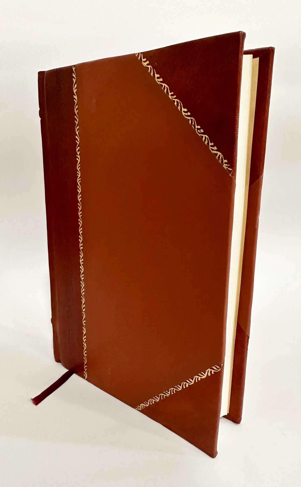 Facts about the Gulf Coast District of South Mississippi, South Alabama and West Florida [Leather Bound] Y4555