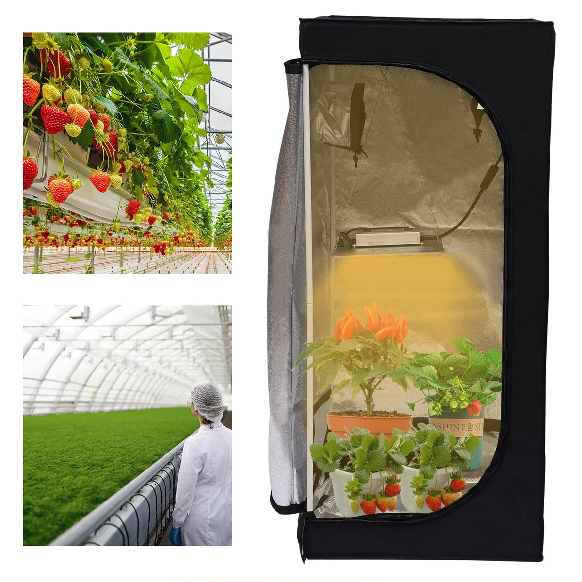 24"x 24"x 56" Grow Tent Kit with LED Grow Light and Ventilation Kit M7225