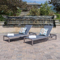 Silver 2-Piece Metal Outdoor Chaise Lounge G7409