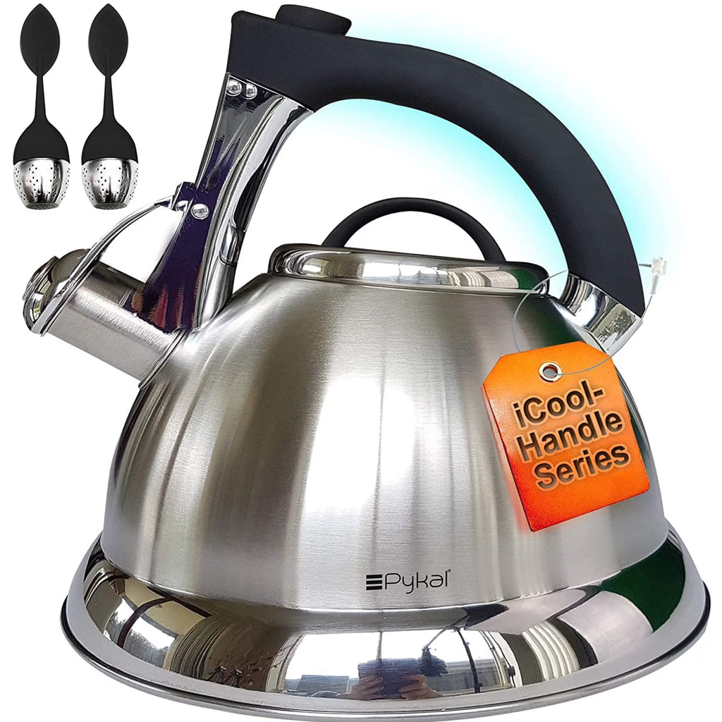 Silver Stainless Steel Whistling Tea Kettle with Handle and 2 Infusers V225672
