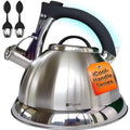 Silver Stainless Steel Whistling Tea Kettle with Handle and 2 Infusers V225672
