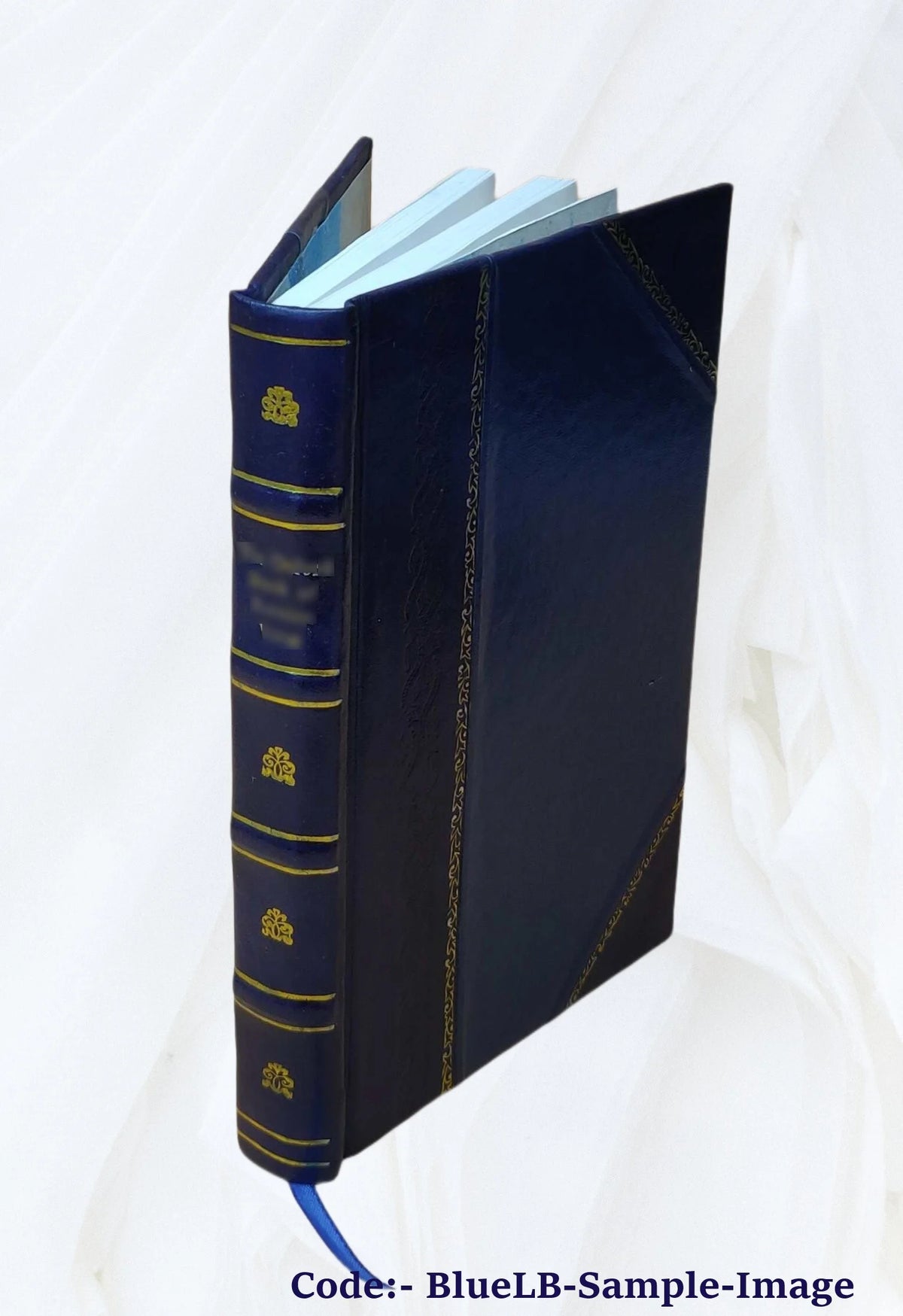 Leather Bound Yacht Voyage Round England 1870 J736294