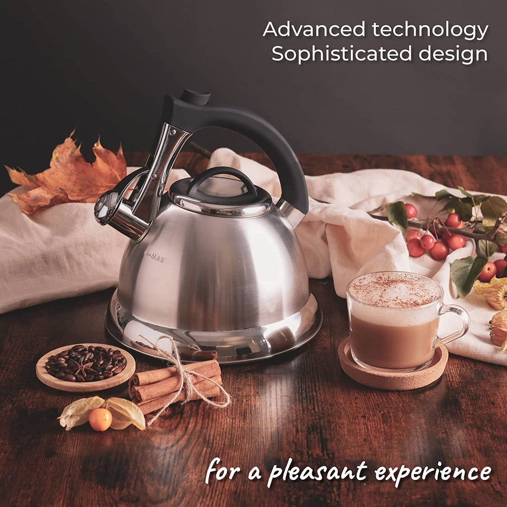 Silver Stainless Steel Whistling Tea Kettle with Handle and 2 Infusers V225672