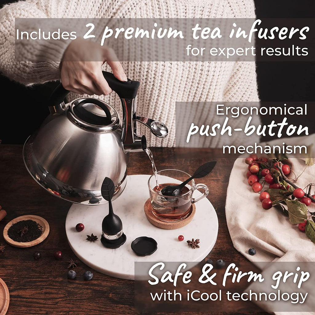 Silver Stainless Steel Whistling Tea Kettle with Handle and 2 Infusers V225672