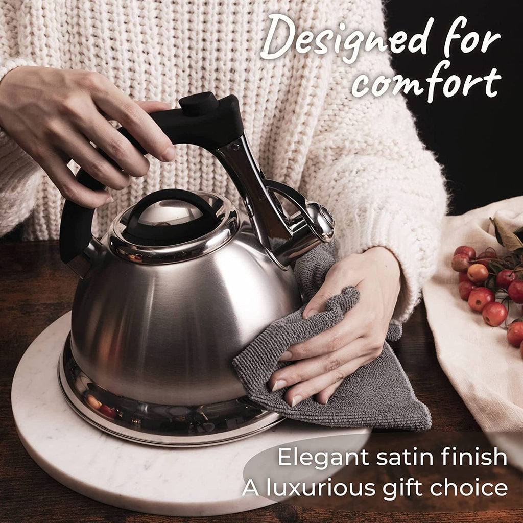 Silver Stainless Steel Whistling Tea Kettle with Handle and 2 Infusers V225672